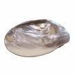 Abalone Smudge Shell